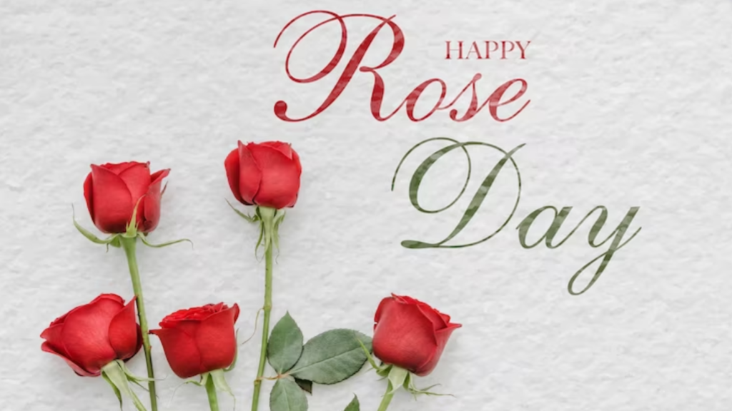 happy rose day wishes