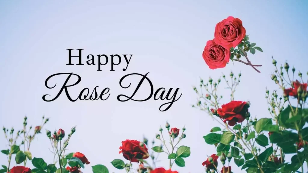 happy rose day wishes